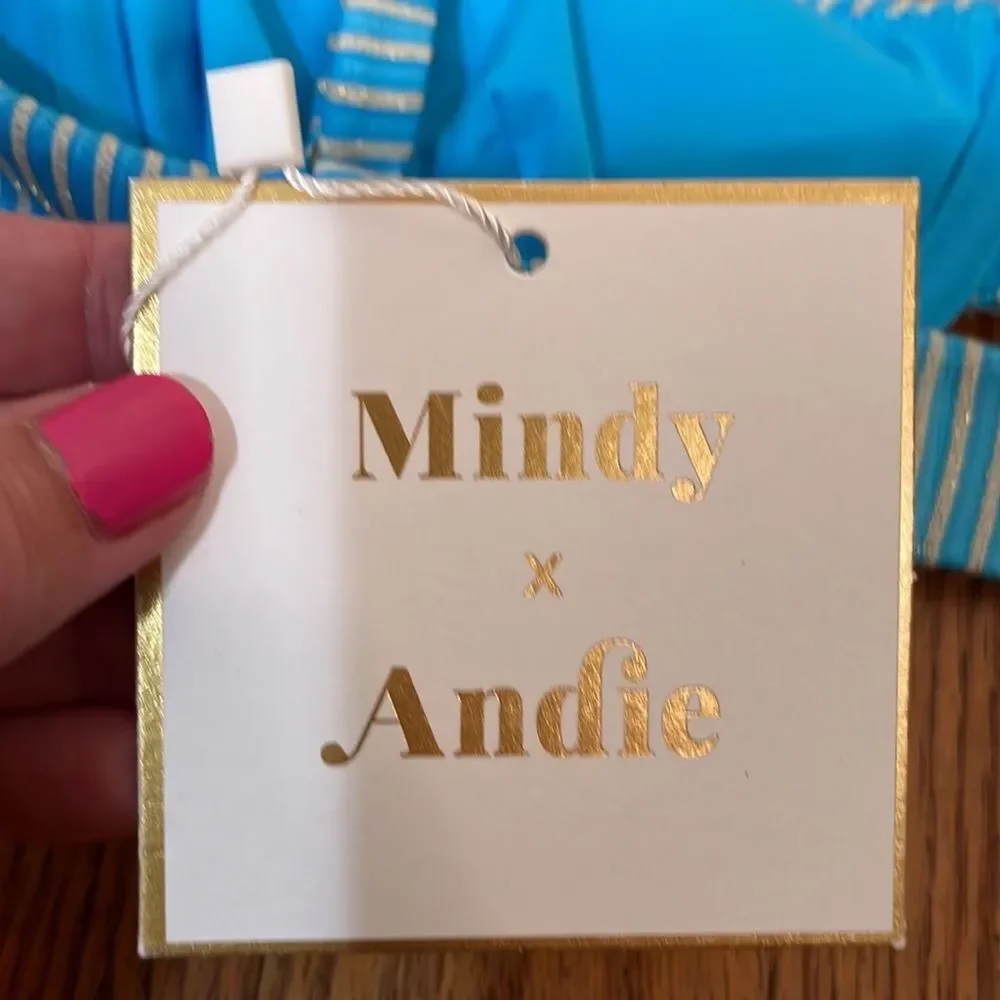 Andie x Mindy The Bermuda bikini top stripe splash Blue‎ gold size small NWT